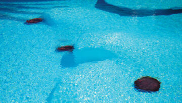 'Swimming pool 1' by Patricia Wynn Davies
