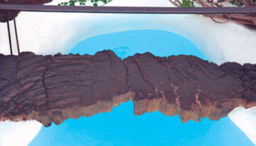 'Swimming pool 3' by Patricia Wynn Davies